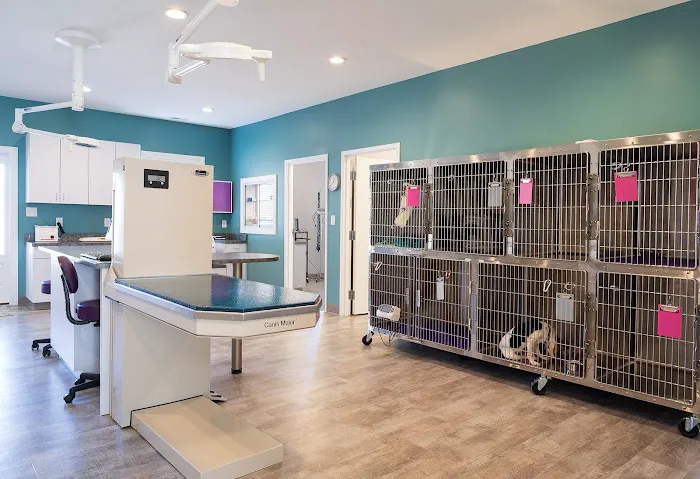 Oasis Small Animal and Exotics Veterinary Hospital Picture 4