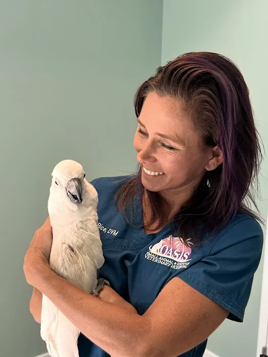 Dr. April Rice Picture 2