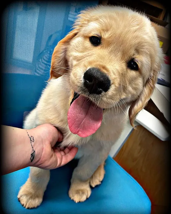 Sycamore Veterinary Hospital Picture 7