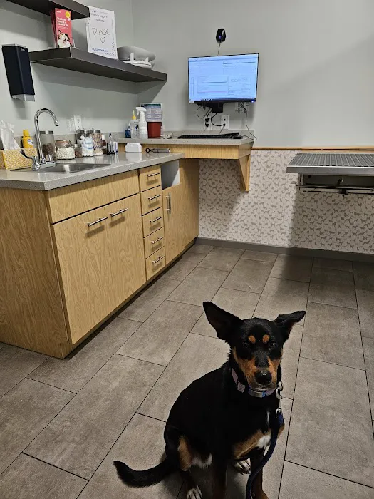 Sycamore Veterinary Hospital Picture 1