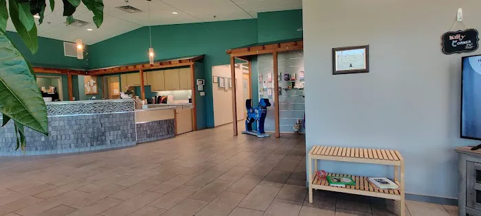 Sycamore Veterinary Hospital Picture 4