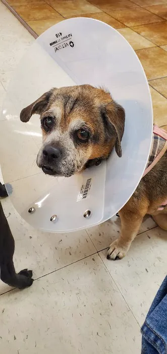 Banfield Pet Hospital Picture 2