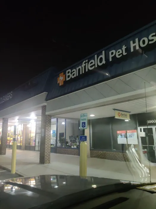 Banfield Pet Hospital Picture 6