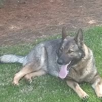 Circleville Veterinary Clinic ico