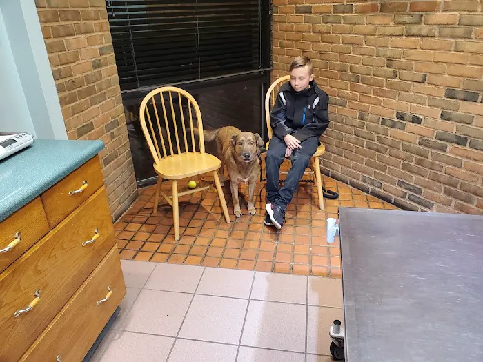 North Court Animal Clinic Picture 1