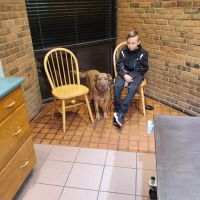 North Court Animal Clinic ico