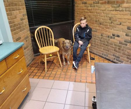 North Court Animal Clinic