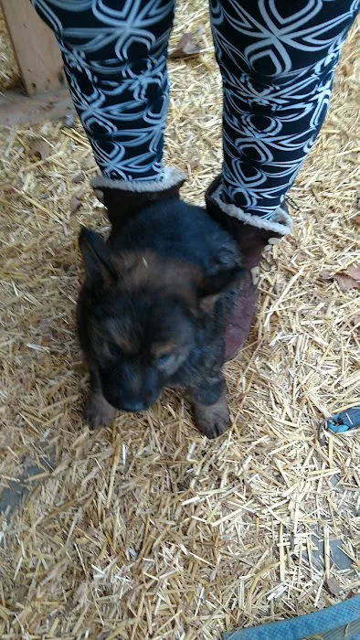 North Court Animal Clinic Picture 9