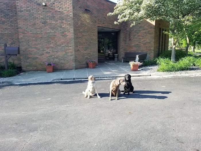 North Court Animal Clinic Picture 5