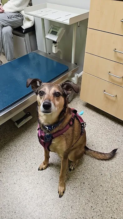 Concord Chapel Animal Hospital Picture 5