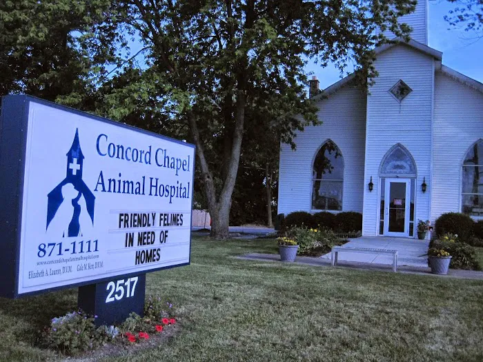 Concord Chapel Animal Hospital Picture 9