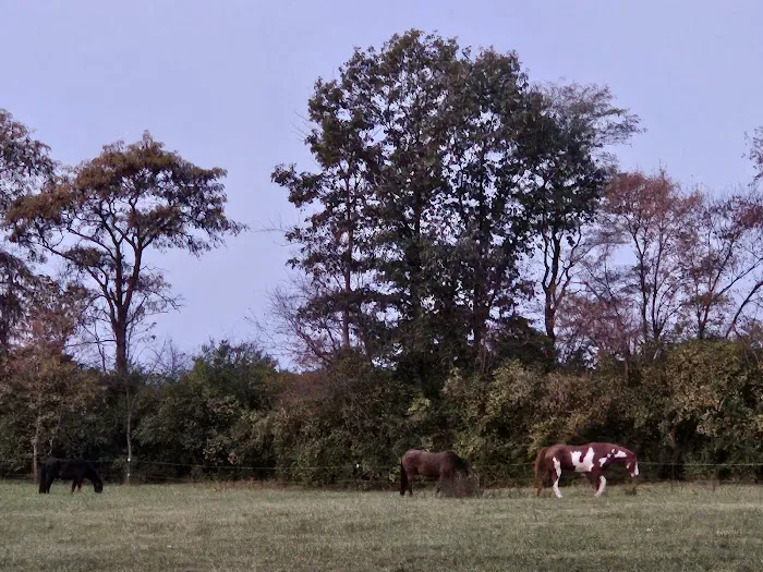 Fall Creek Equine Clinic Inc Picture 1