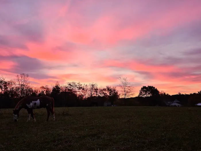Fall Creek Equine Clinic Inc Picture 2