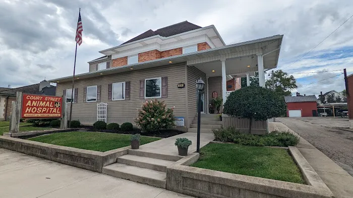 Court Street Animal Hospital Picture 1
