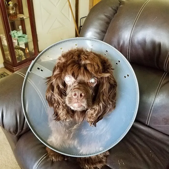 Fayette Veterinary Hospital Picture 4