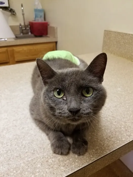 Fayette Veterinary Hospital Picture 2