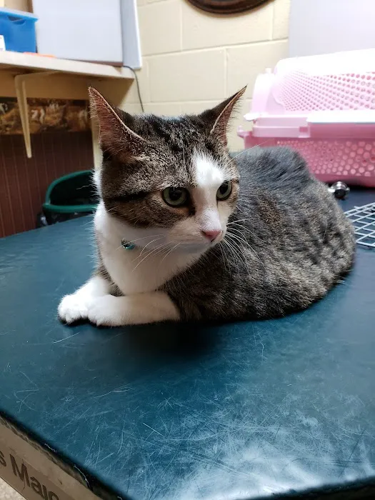 Hillsboro Veterinary Hospital Picture 1