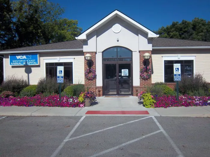 VCA Westerville East Animal Hospital Picture 2