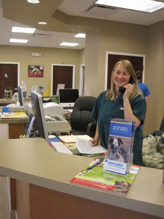 VCA Westerville East Animal Hospital Picture 10