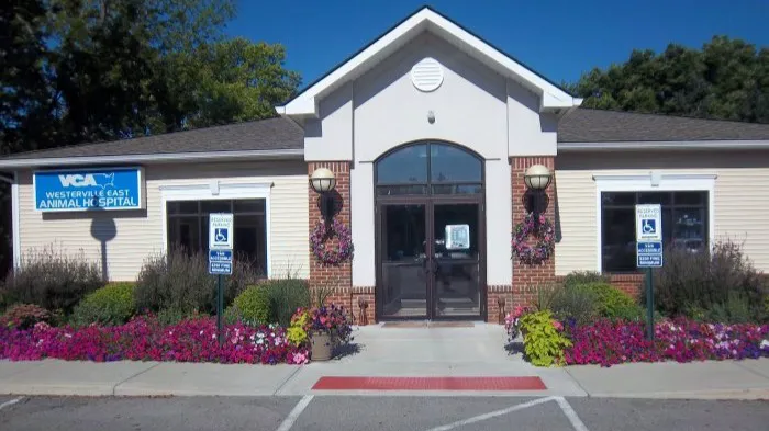 VCA Westerville East Animal Hospital Picture 7