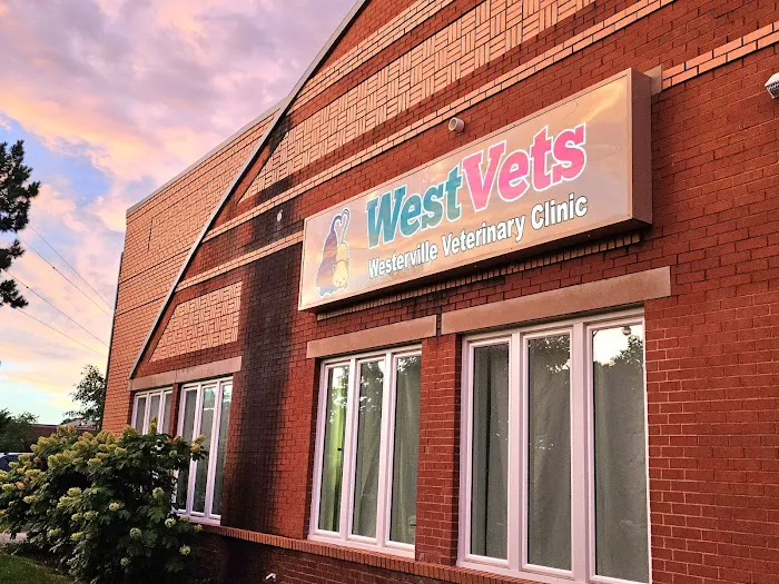 WestVets Emergency Veterinary Clinic Picture 3