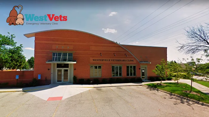 WestVets Emergency Veterinary Clinic Picture 9