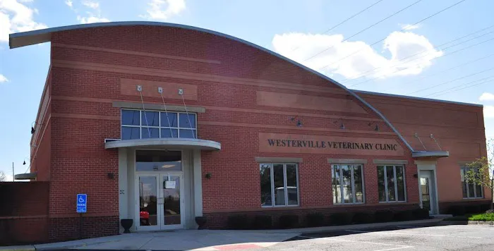 Westerville Veterinary Clinic Picture 9