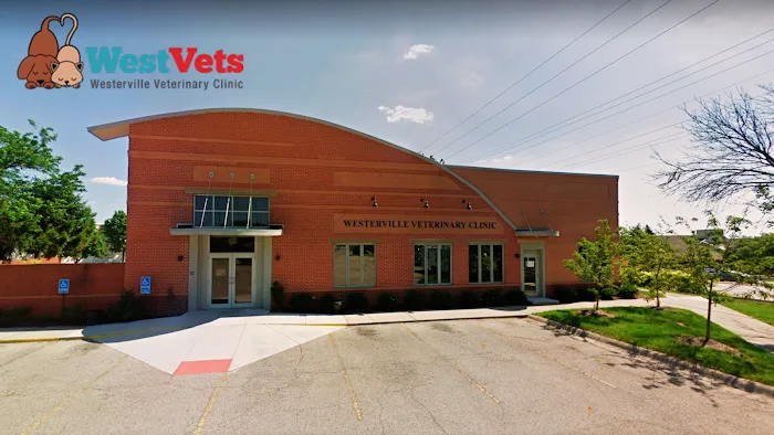Westerville Veterinary Clinic Picture 10
