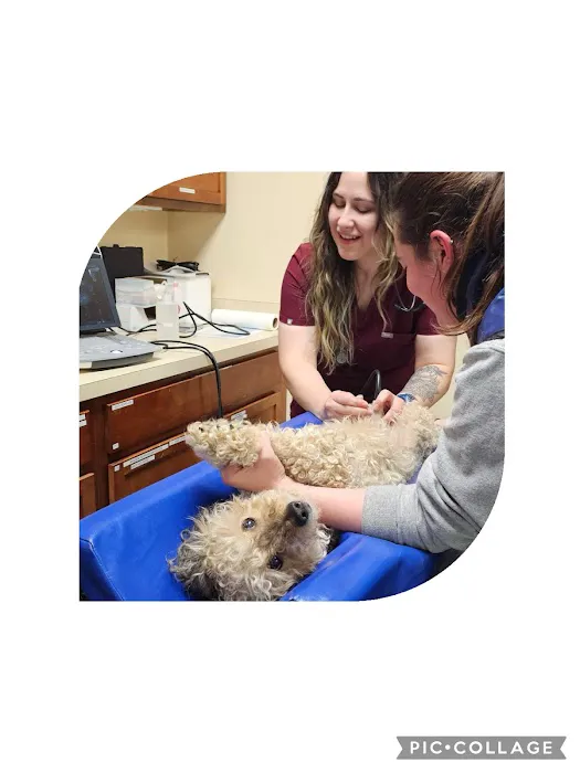Westerville Veterinary Clinic Picture 6