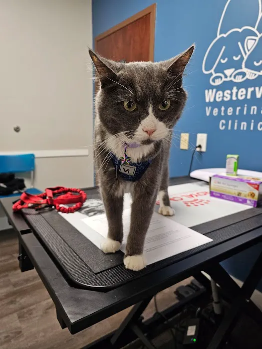 Westerville Veterinary Clinic Picture 8