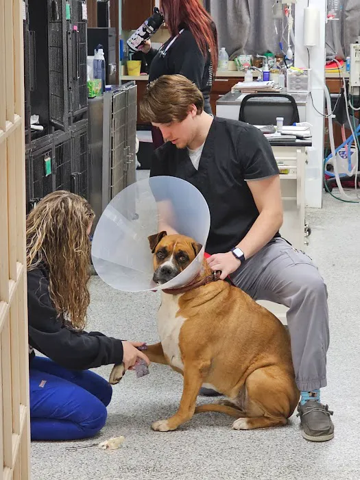Westerville Veterinary Clinic Picture 5