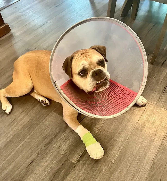 Galena Veterinary Care Picture 7