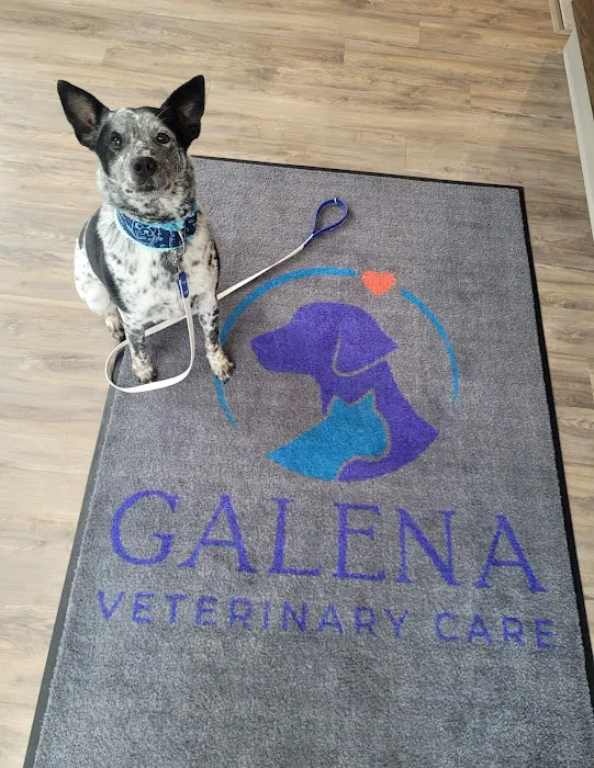 Galena Veterinary Care Picture 8