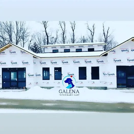 Galena Veterinary Care Picture 5