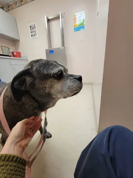 Sunbury Veterinary Clinic Picture 6