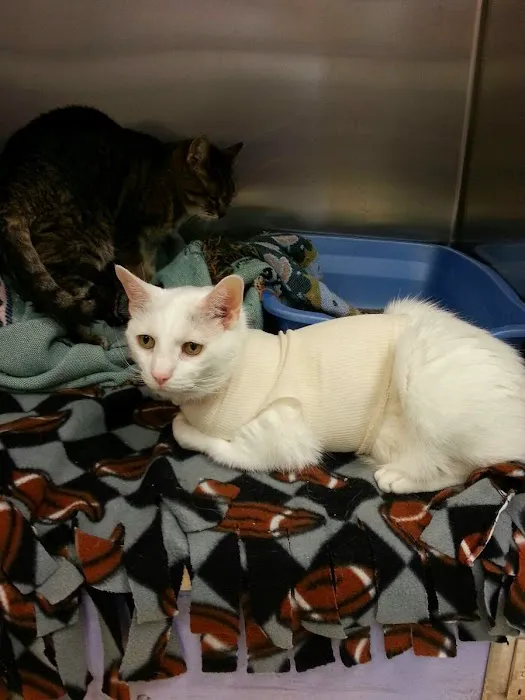 Big Walnut Animal Care Center Picture 1