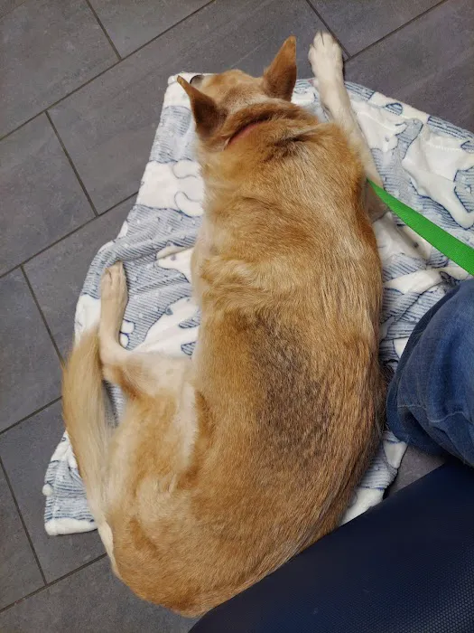 Banfield Pet Hospital Picture 4