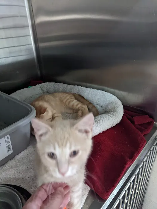 Cryan Veterinary Hospital Picture 7