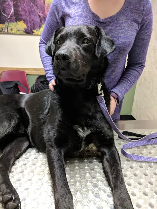 Cryan Veterinary Hospital Picture 2