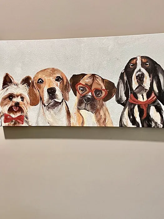 My Vet Animal Hospital Picture 4