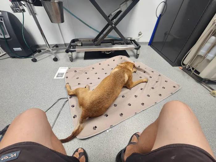 Chittenden Veterinary Clinic Picture 1