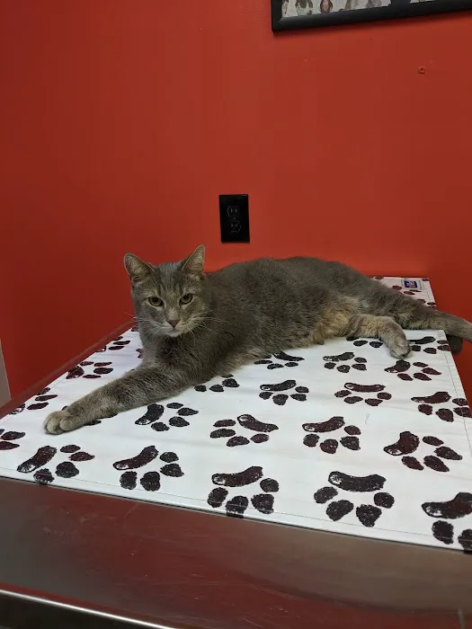 Chittenden Veterinary Clinic Picture 5
