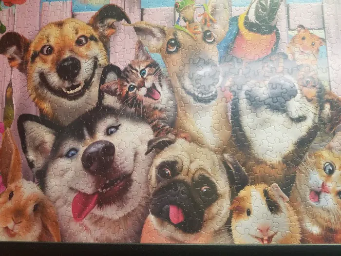 Chittenden Veterinary Clinic Picture 8