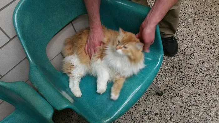 Oakland Park Animal Hospital, LLC Picture 4