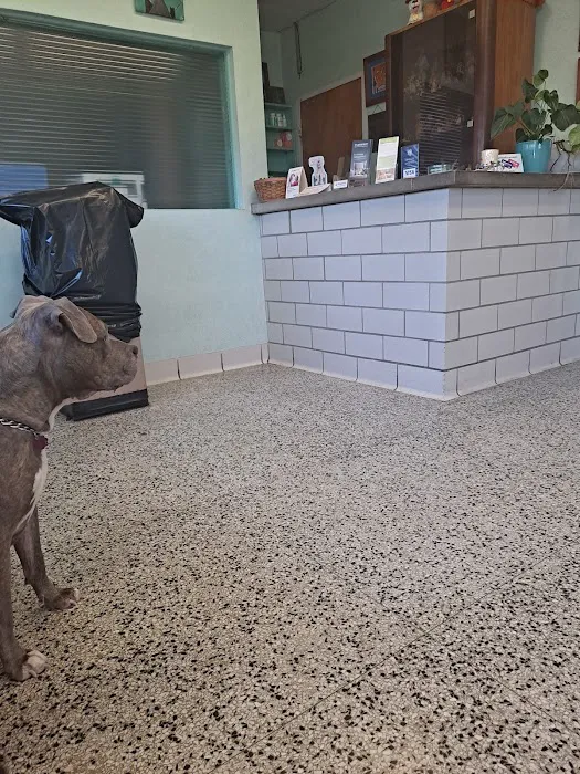 Oakland Park Animal Hospital, LLC Picture 7