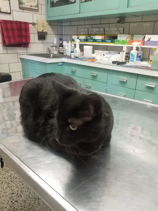 Oakland Park Animal Hospital, LLC Picture 5