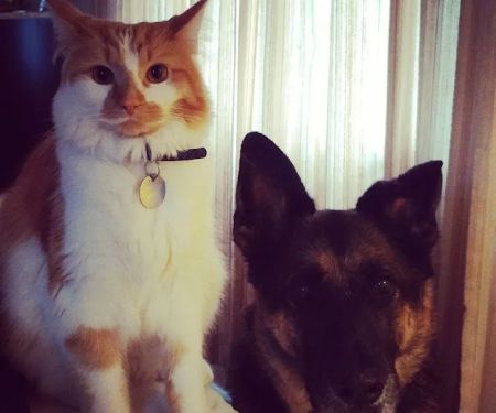 Oakland Park Animal Hospital, LLC