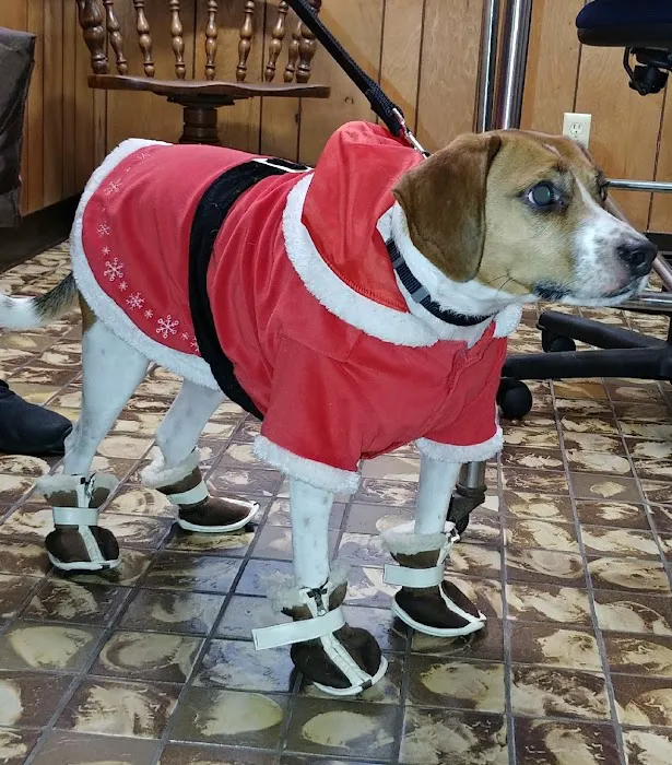 Morse Road Veterinary Clinic Picture 6