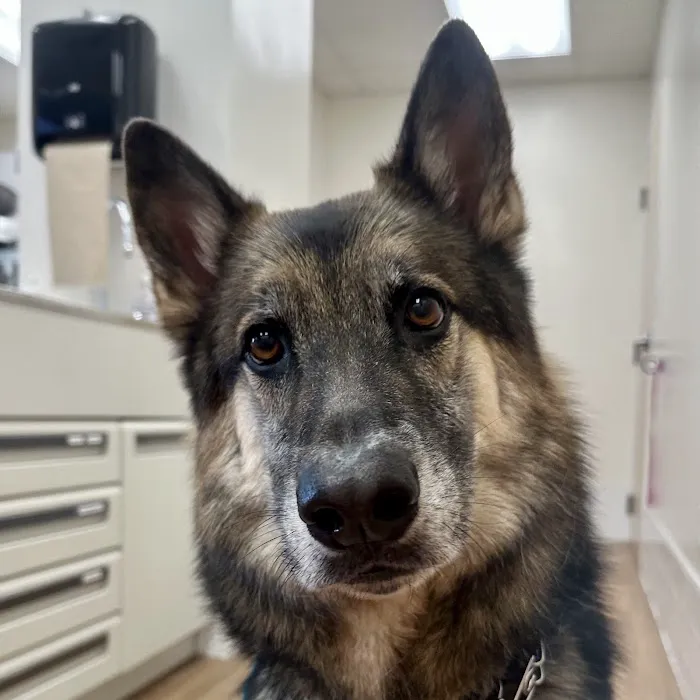 Stringtown Animal Hospital Picture 5