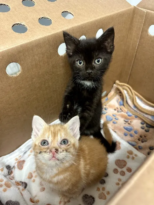 Stringtown Animal Hospital Picture 9